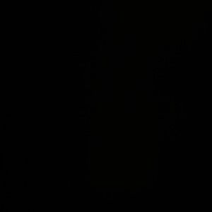 Meet your Posher, Juls